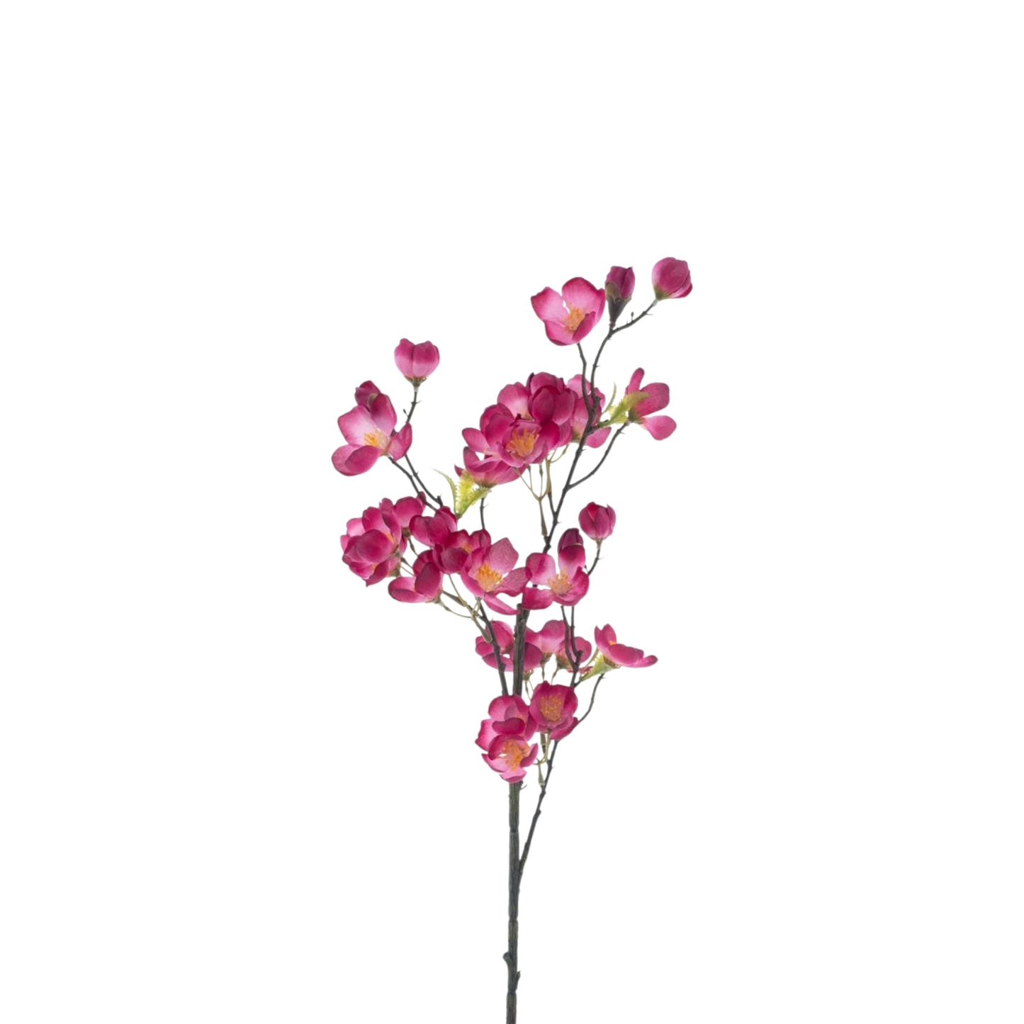 APPLE BLOSSOM SPRAY KRABI 76 CM