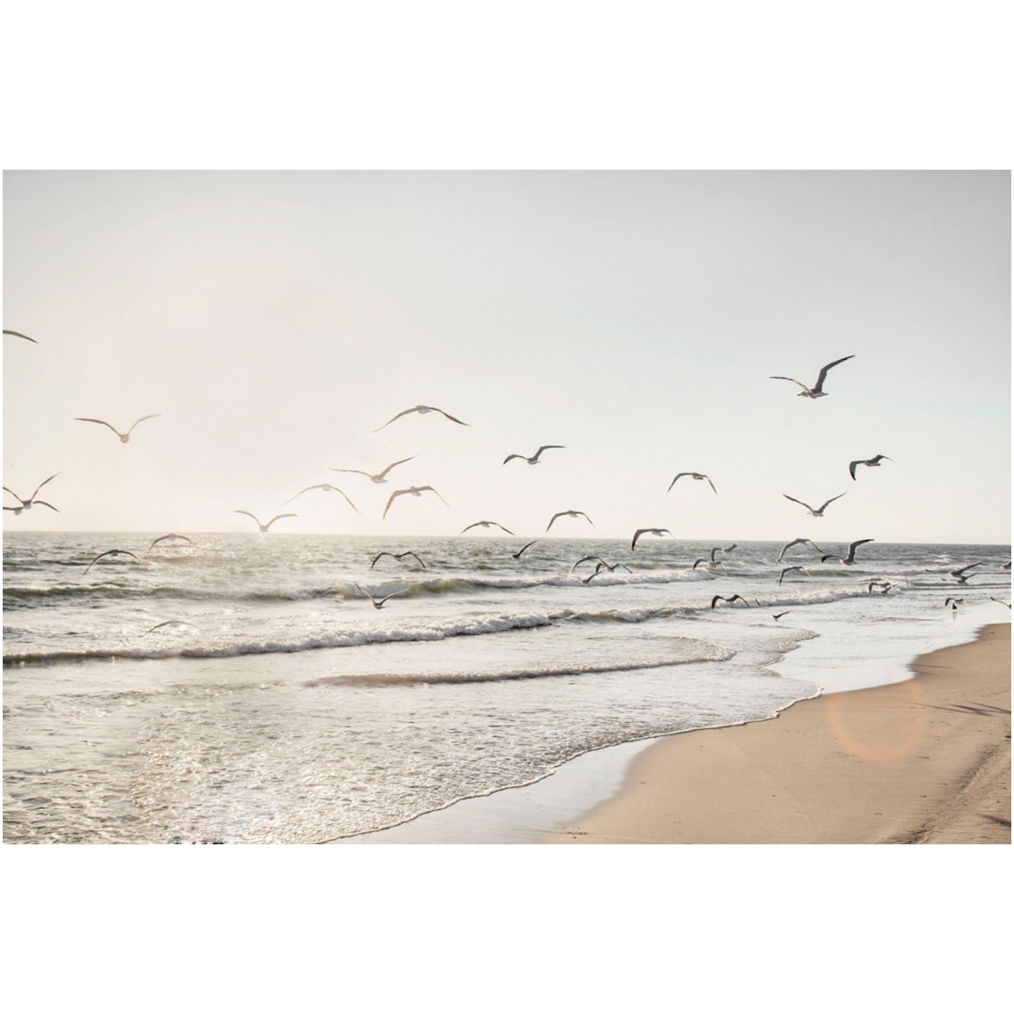 BIRDS SEA PRINT SAFE GLASS
