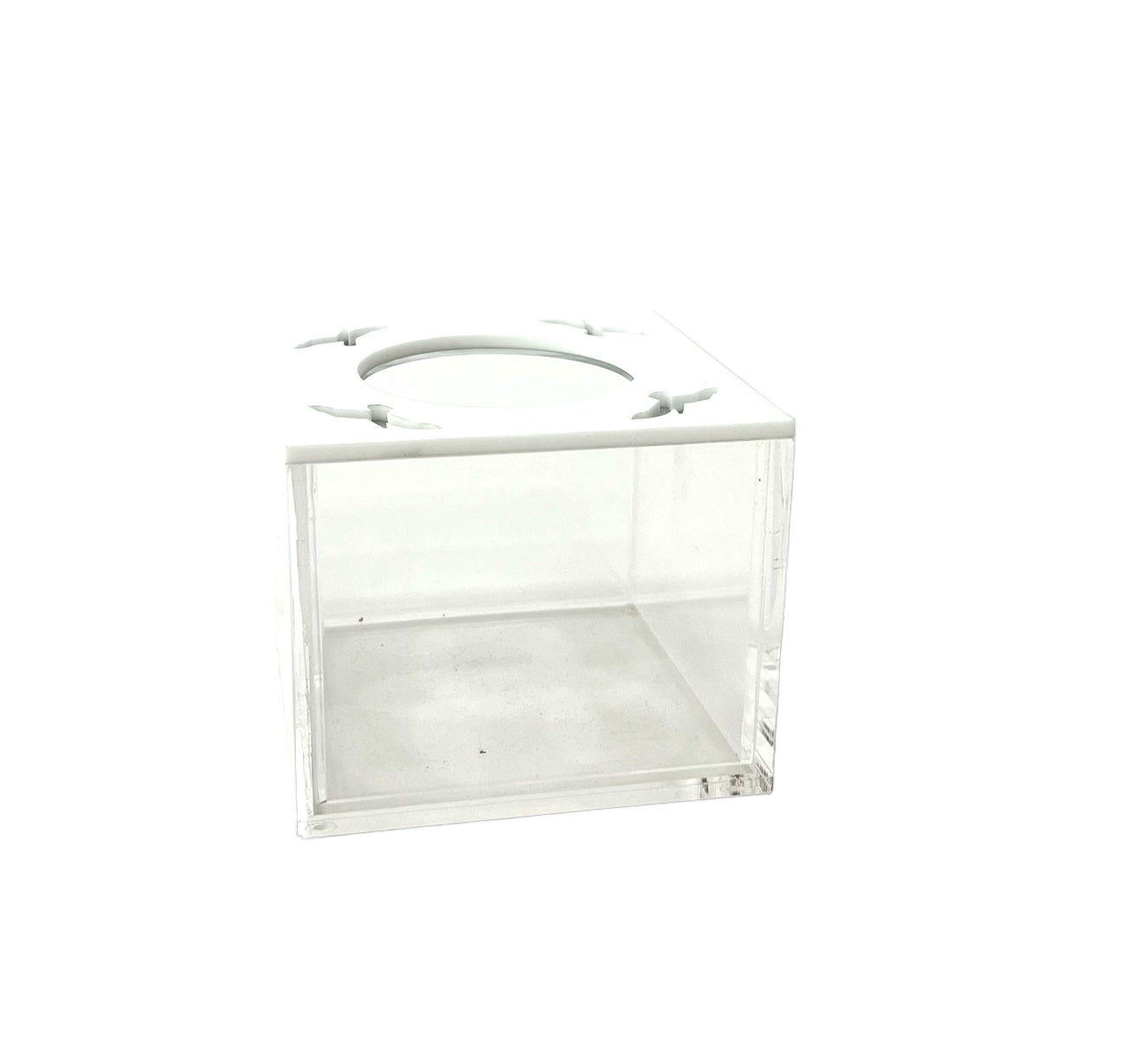 BIRD TISSUE BOX