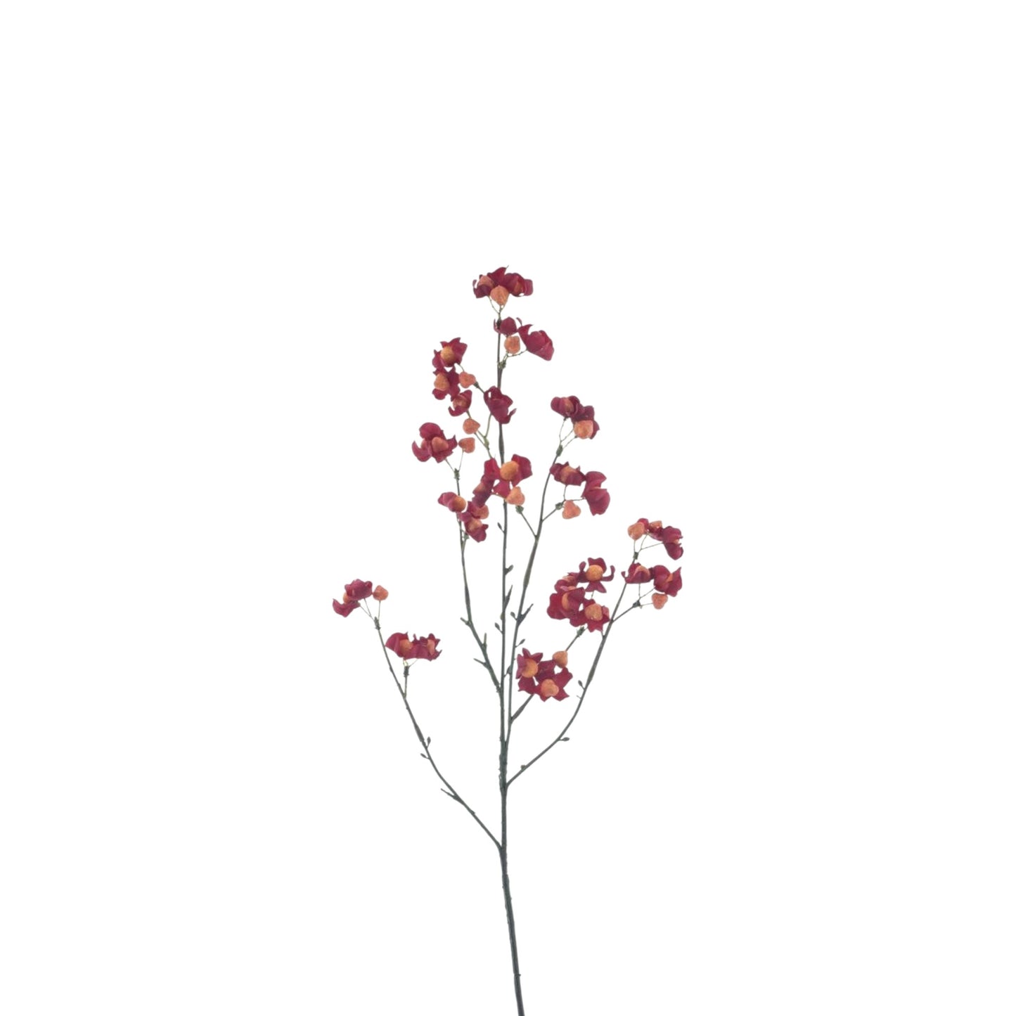 BITTERSWEET BERRY SPRAY 66 CM