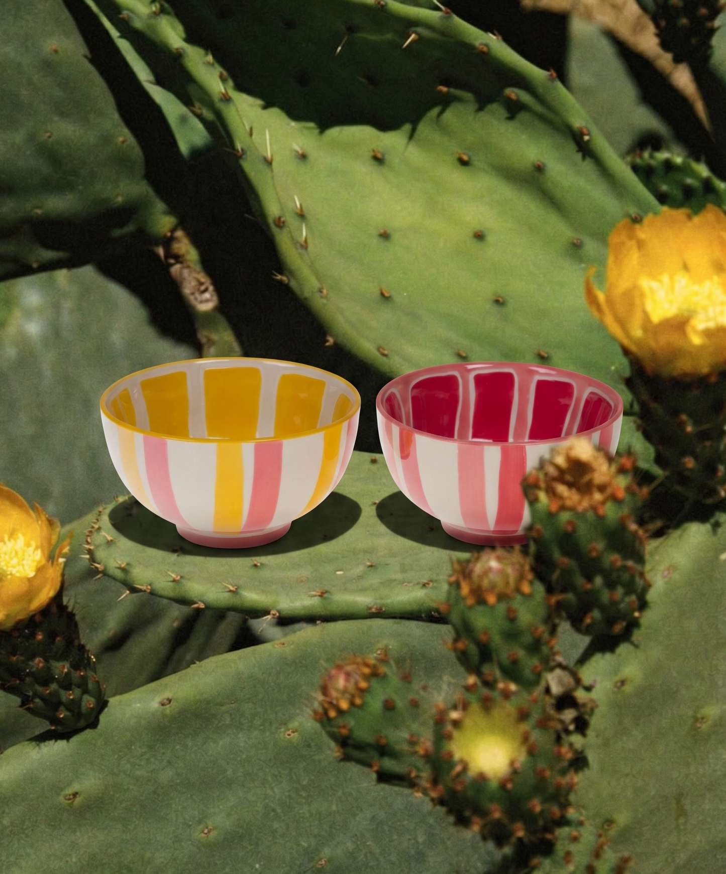 BOWL ZESTINE