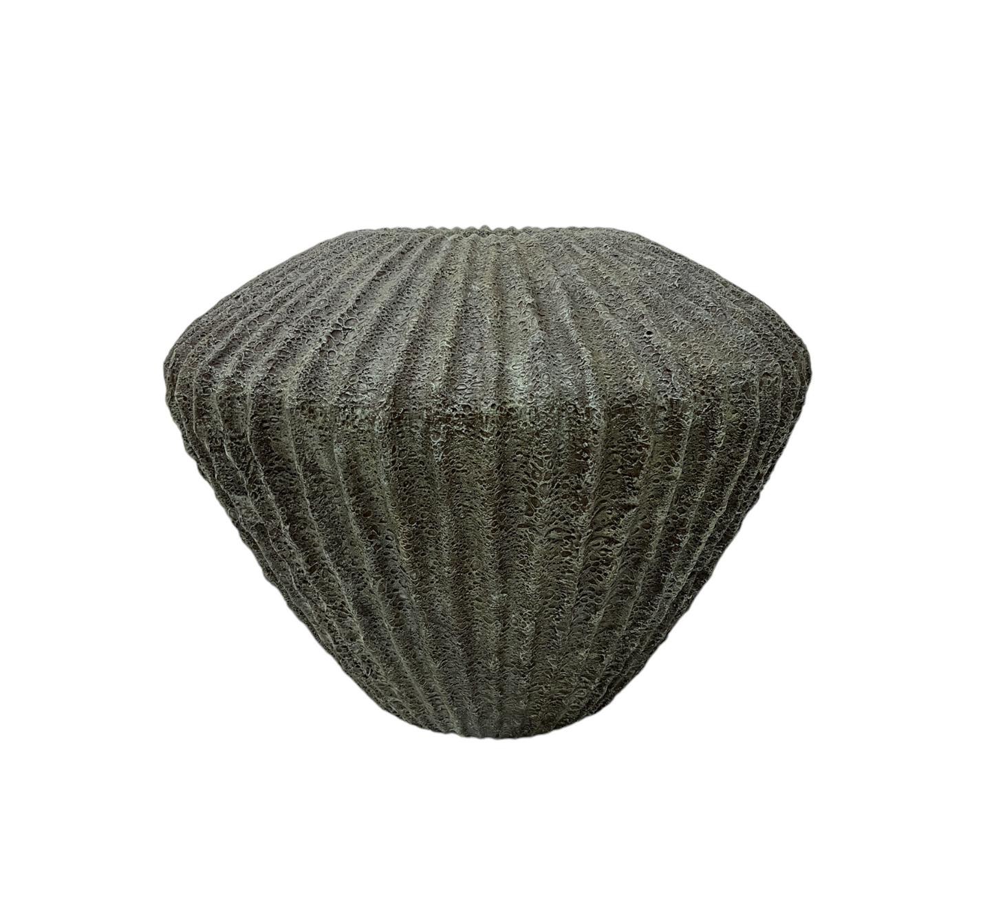 CACTI GREEN POT