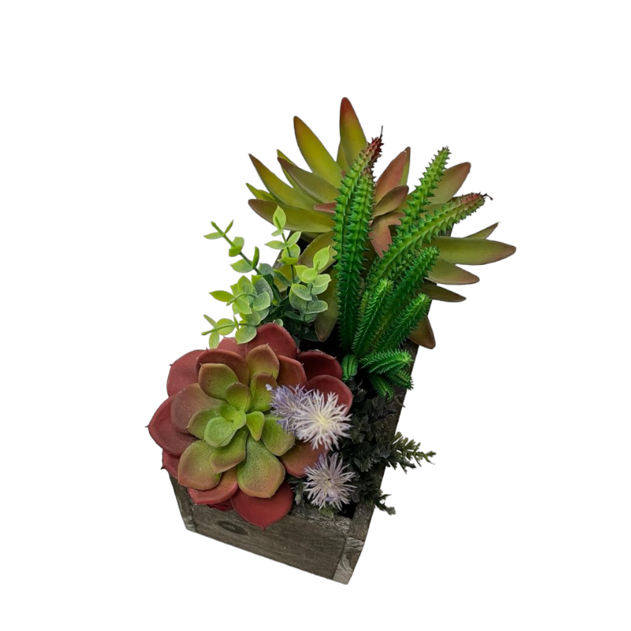 CACTUS POT