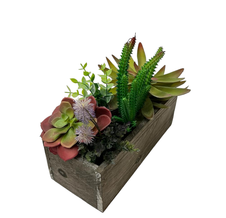 CACTUS POT