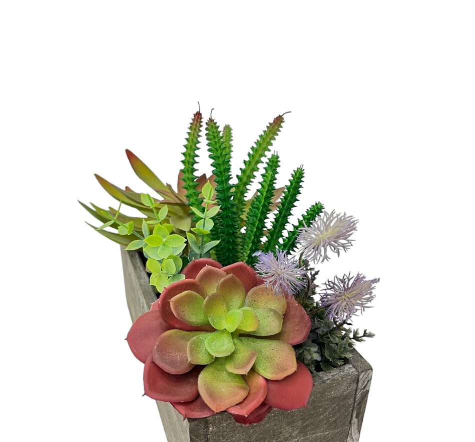 CACTUS POT