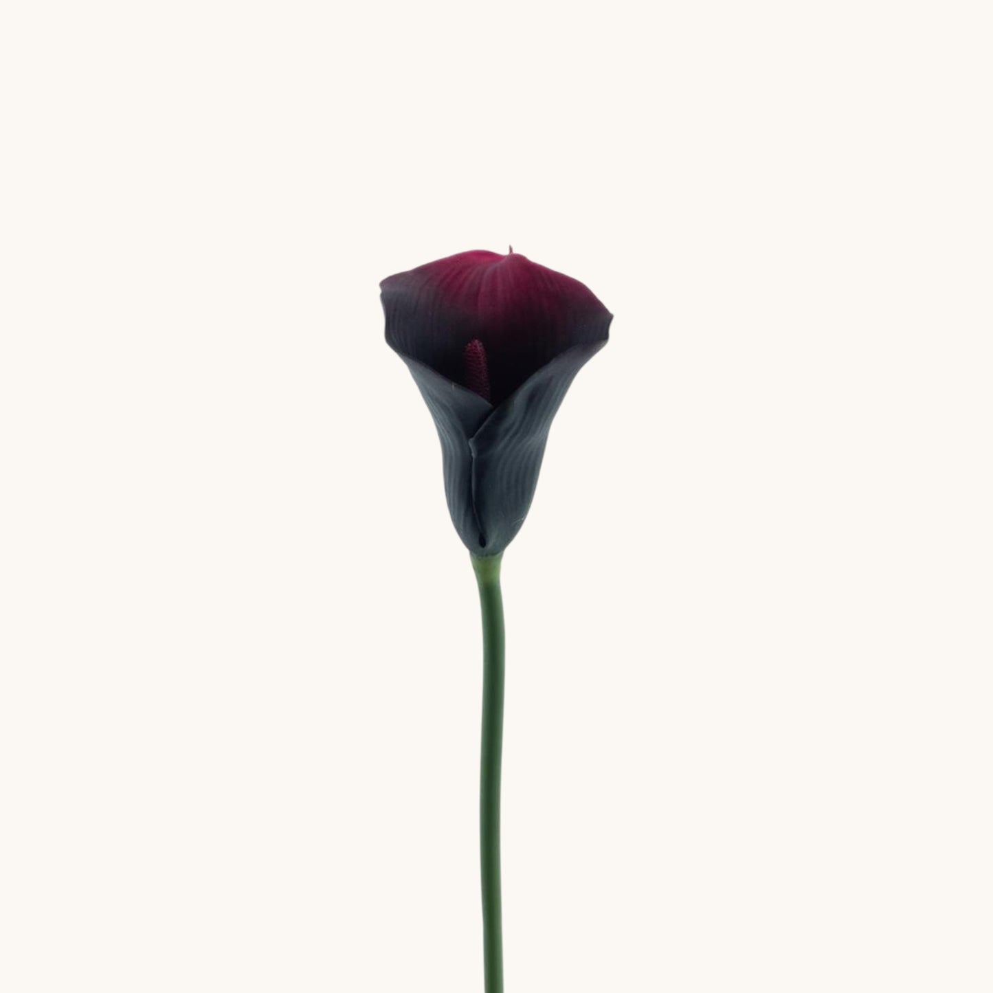 CALLA NADIA DARK PURPLE 59 CM