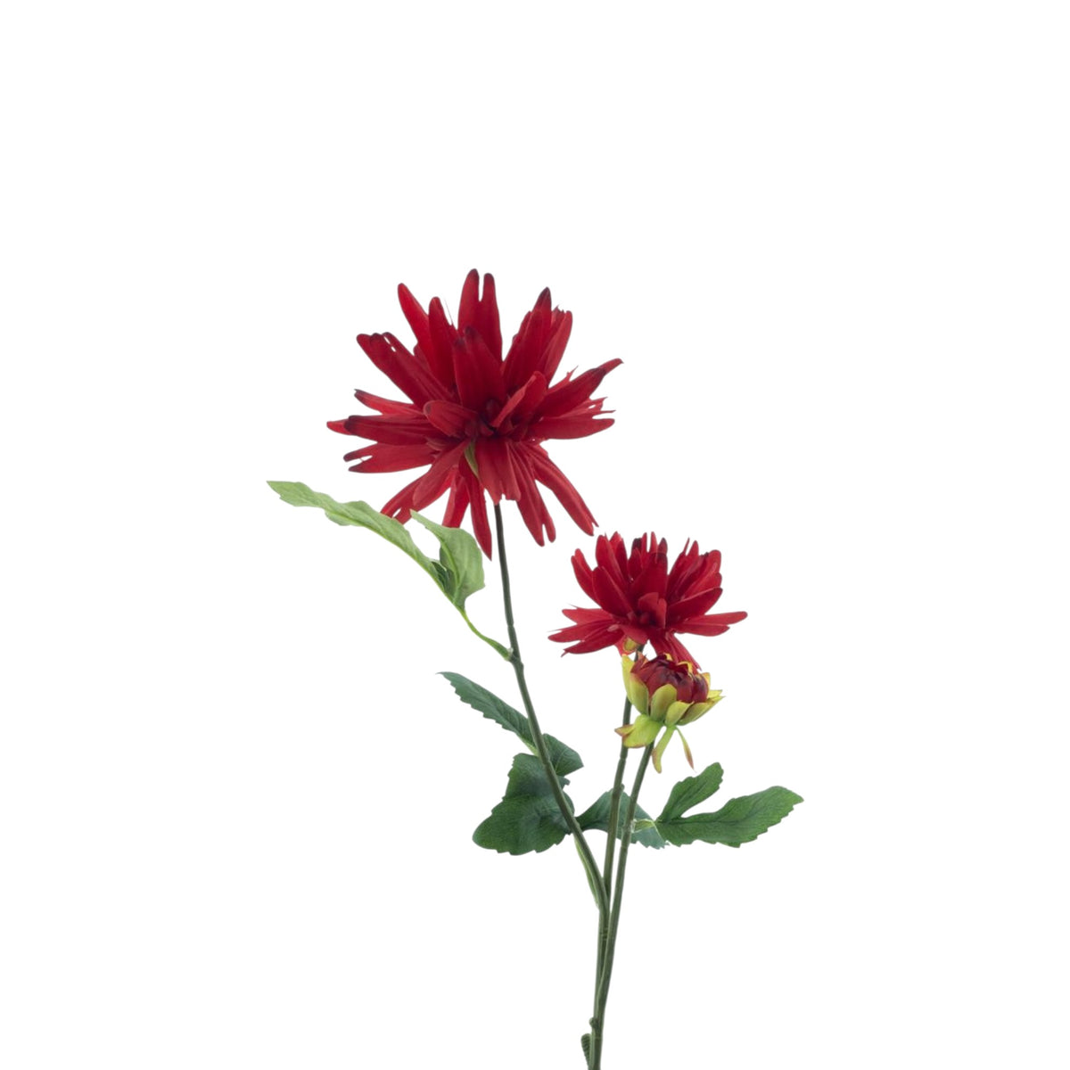 DAHLIA NEW YORK SPRAY 76 CM