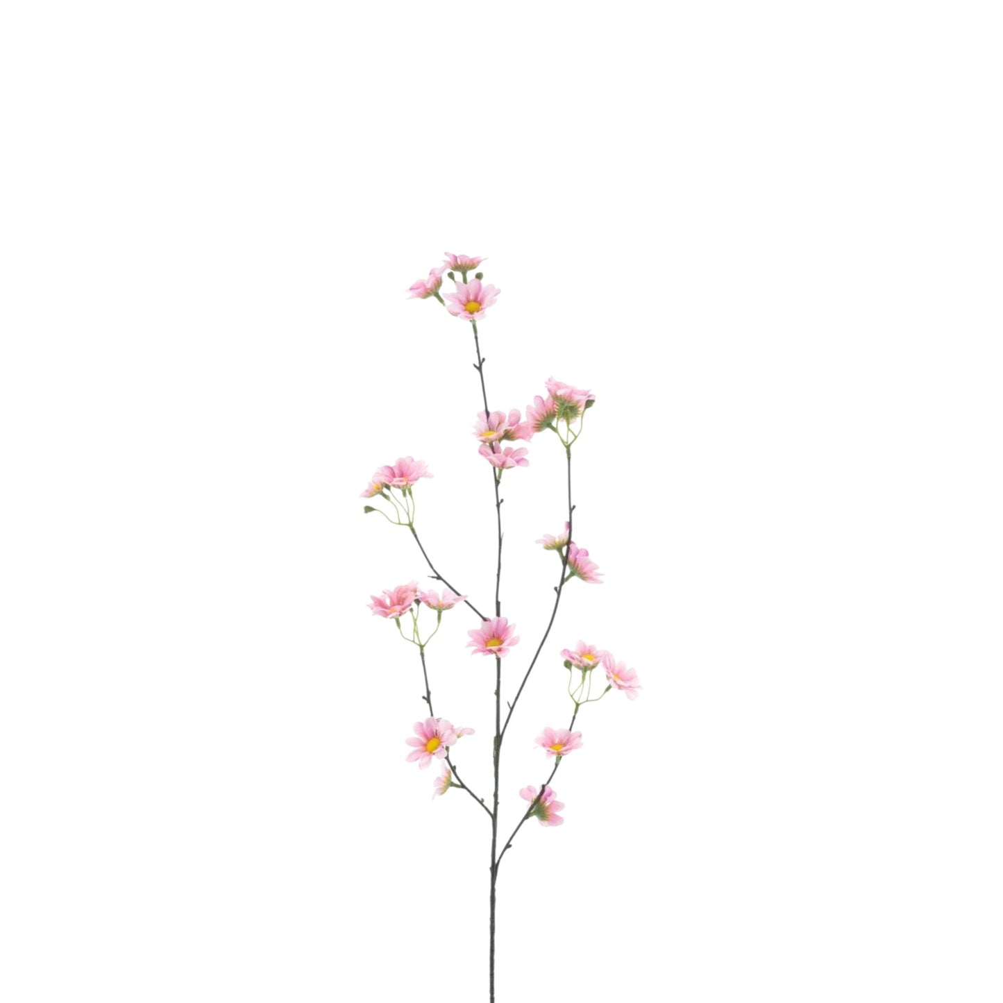 DAISY MORIE SPRAY 83 CM