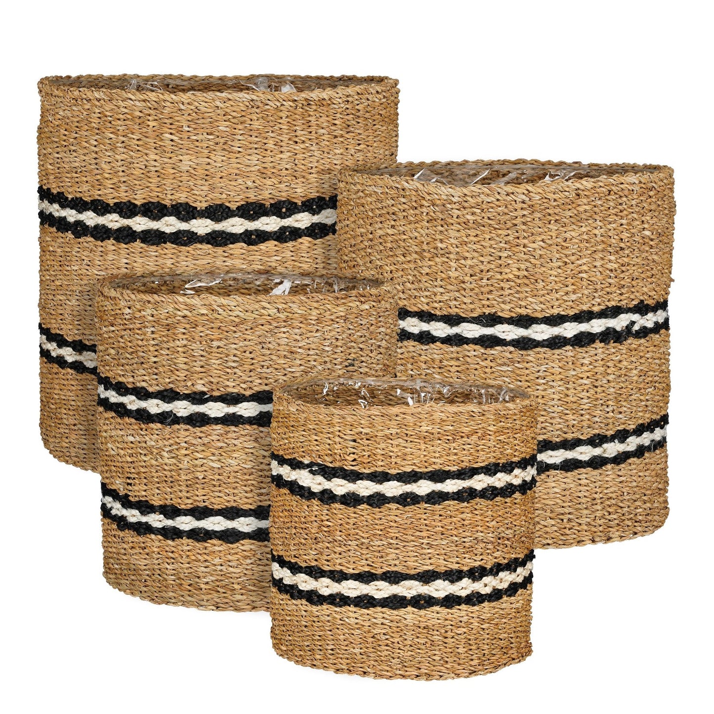 S4 DAVE BASKET