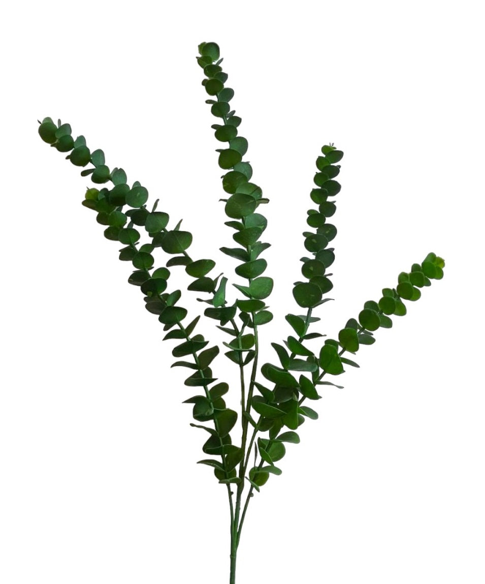 EUCALYPTUS 102 CM