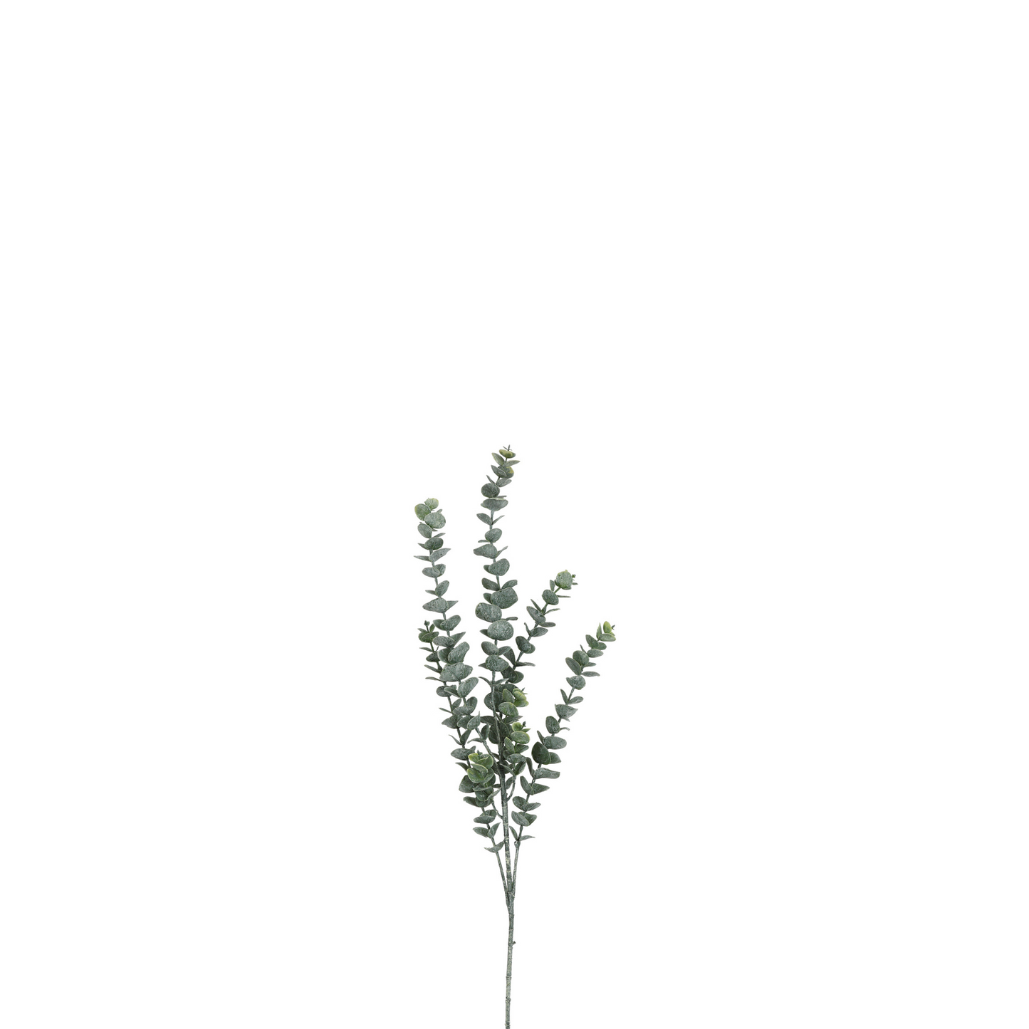 EUCALYPTUS GREEN 105 CM