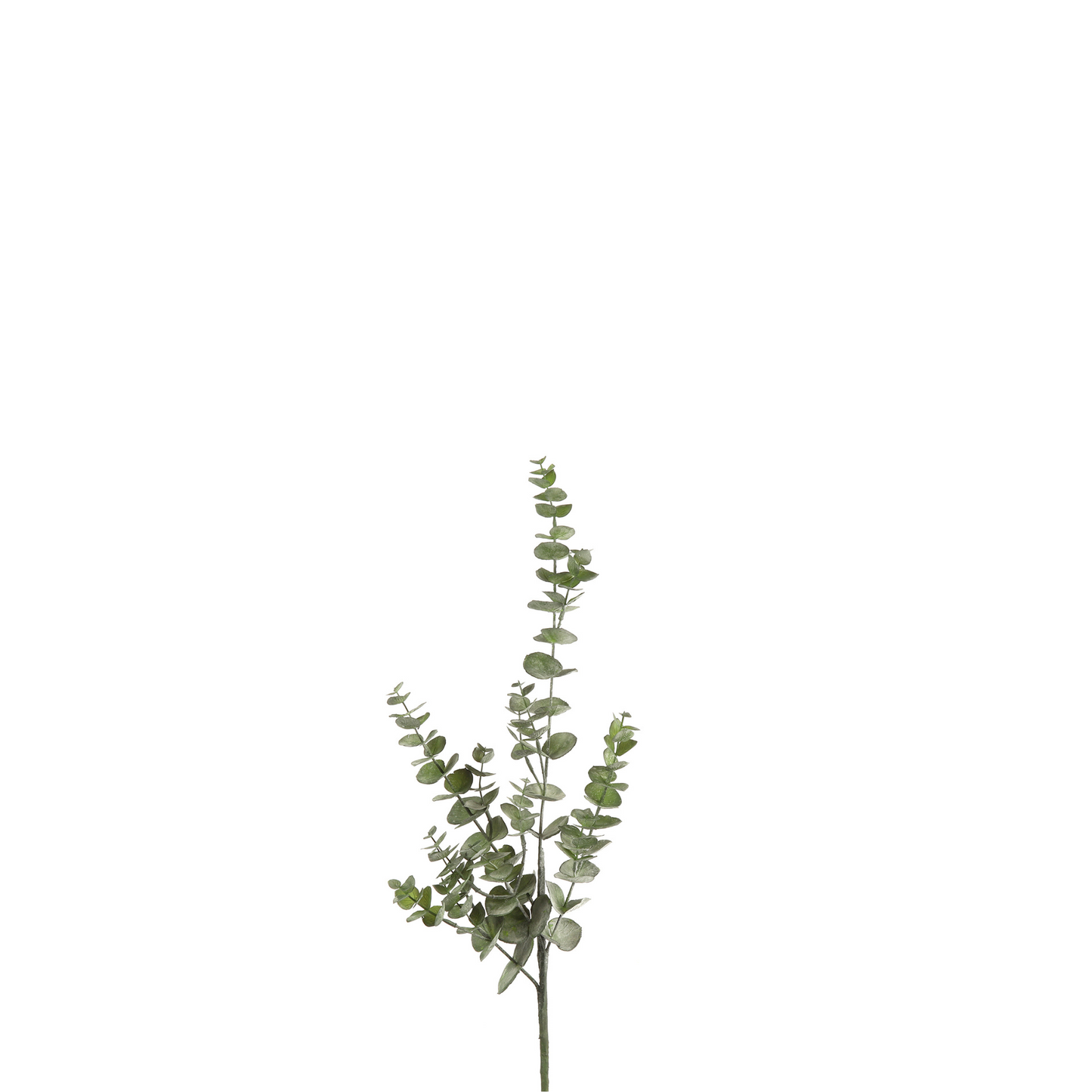 EUCALYPTUS GREEN