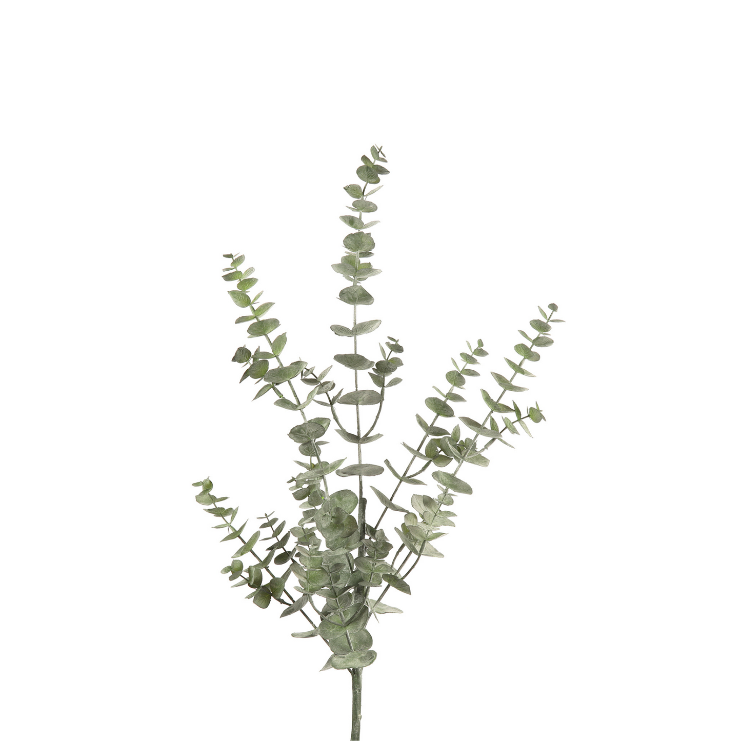 EUCALYPTUS GREEN