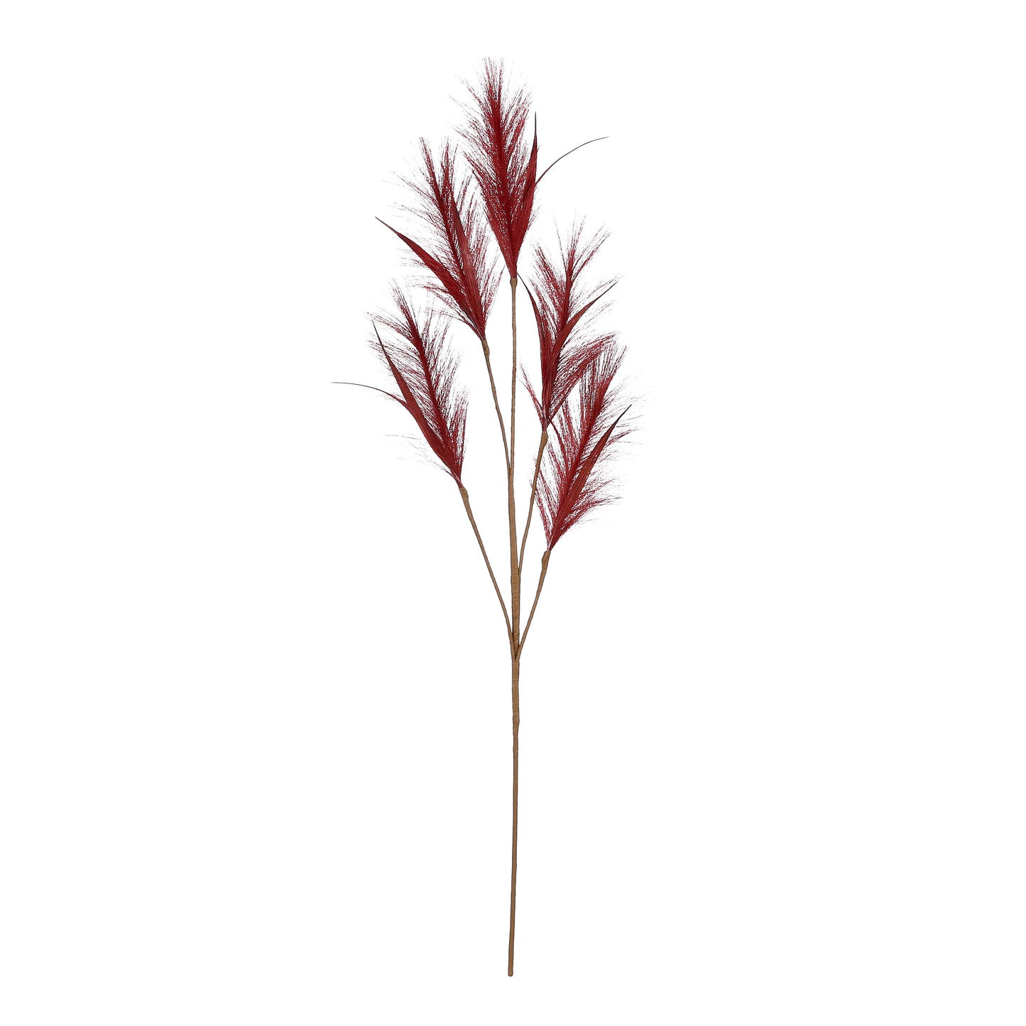 FEATHER GRASS