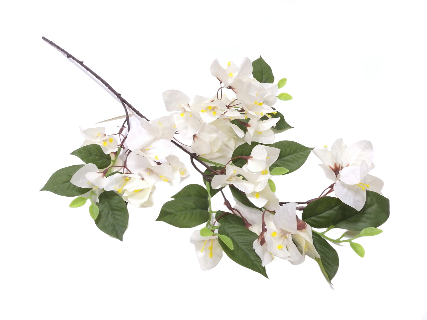 FLOWER BRANCH