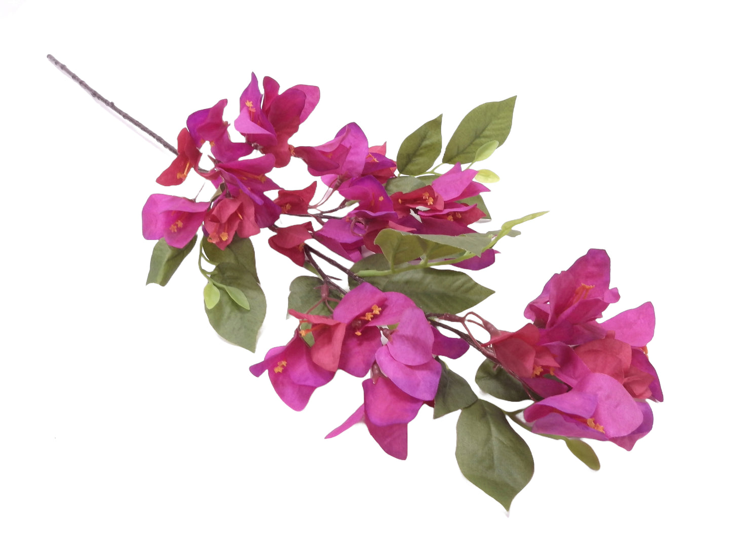 FLOWER BRANCH