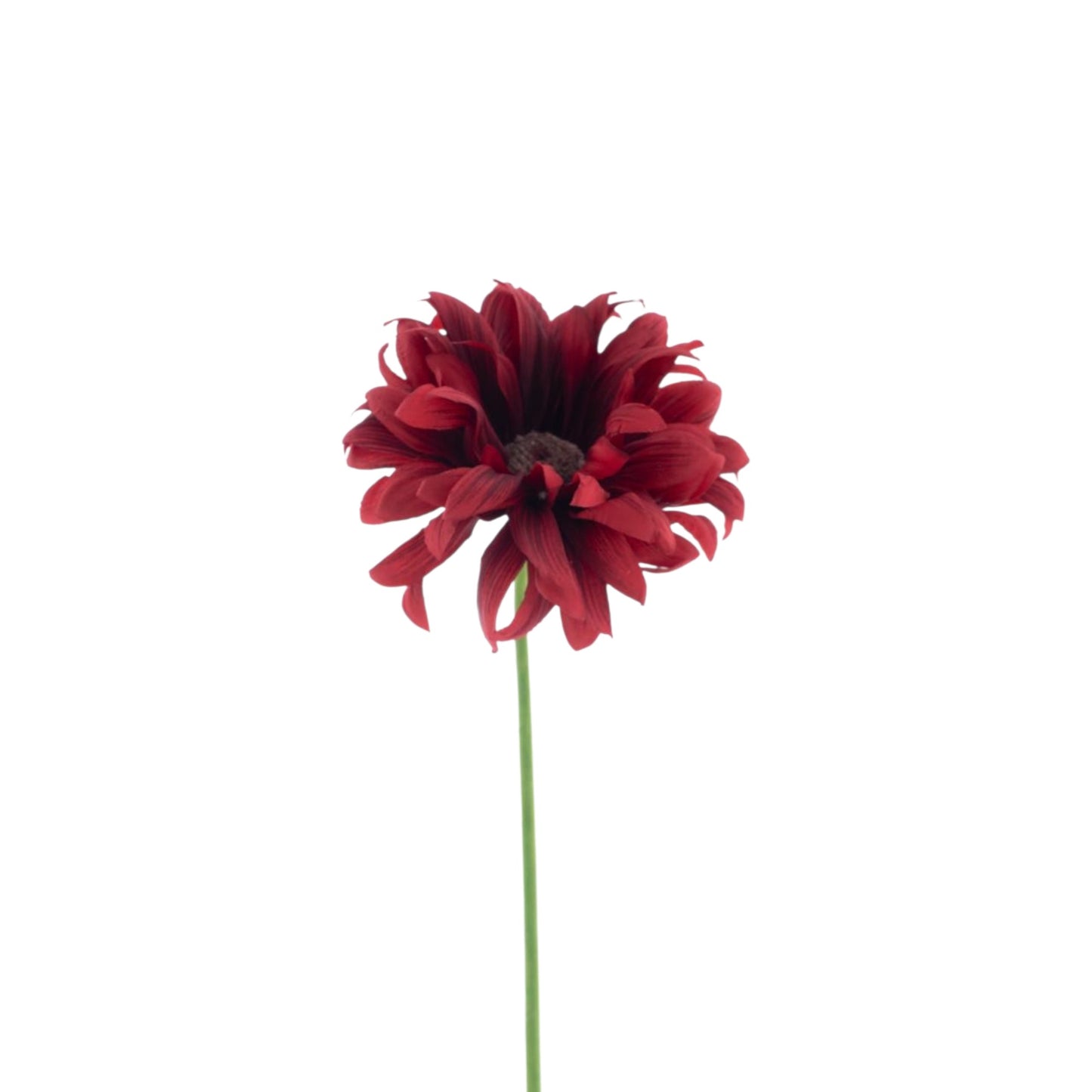 GERBERA SPRAY LOTTE 76 CM
