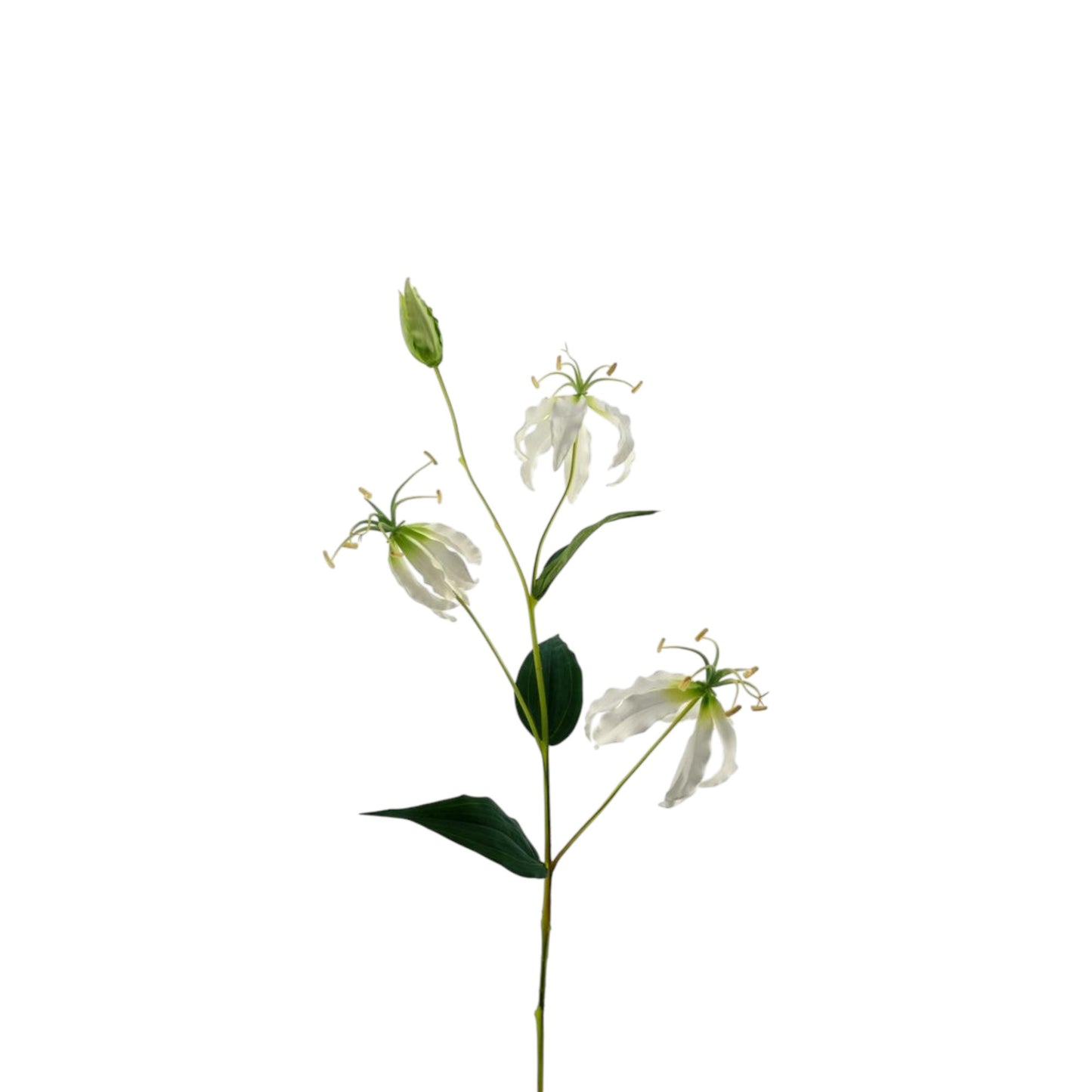 GLORIOSA LILY SPRAY CREAM 82 CM