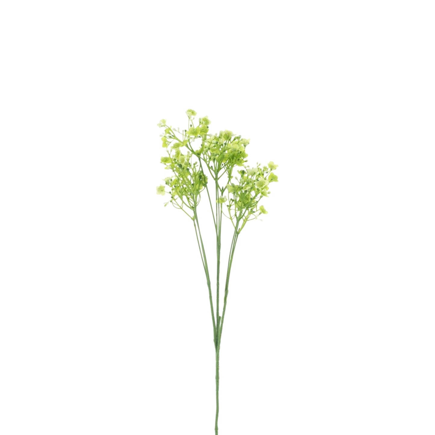 GYPSOPHILIA SPRAY GREEN 70 CM