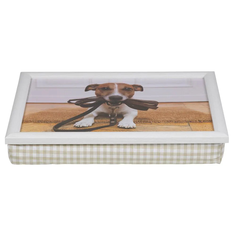 HUMOUR JACK RUSSELL LAPTRAY