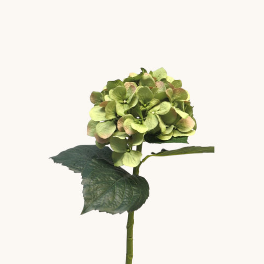 HYDRANGEA ARTIST 48 CM
