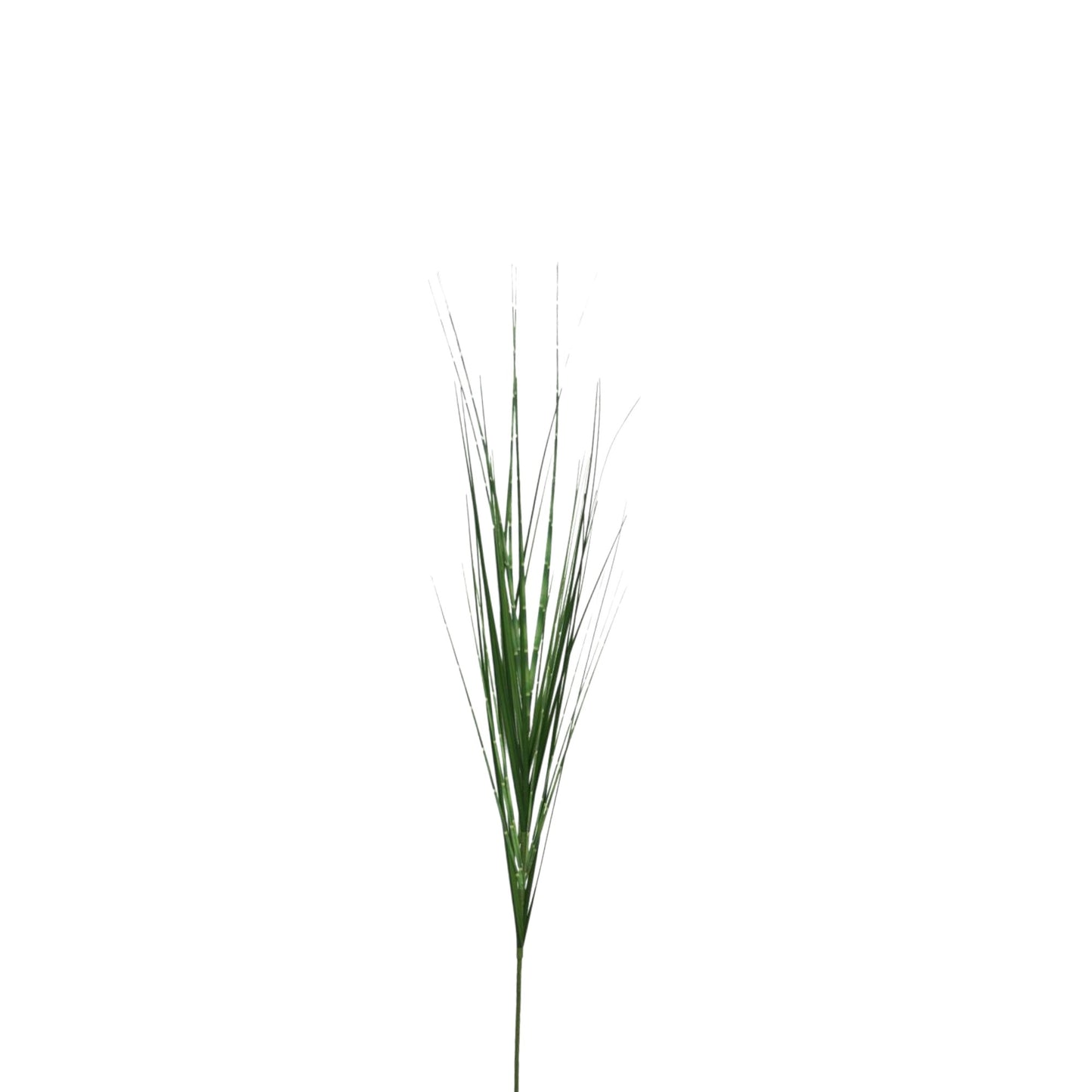 KING FESTUCA LEAF SPRAY ZEBRA 94 CM