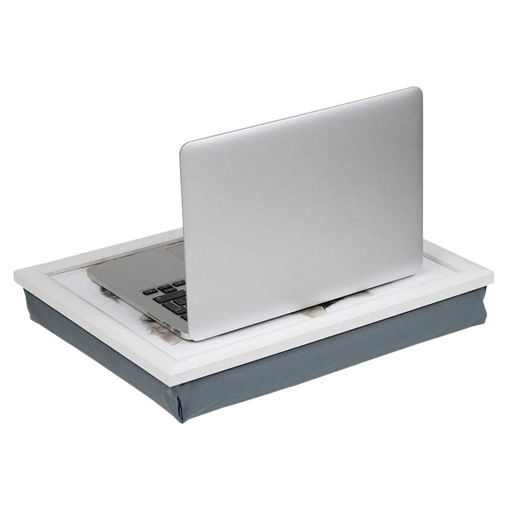 KITTENS LAPTRAY
