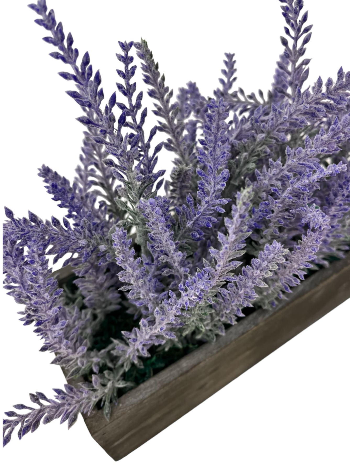 LAVENDER POT