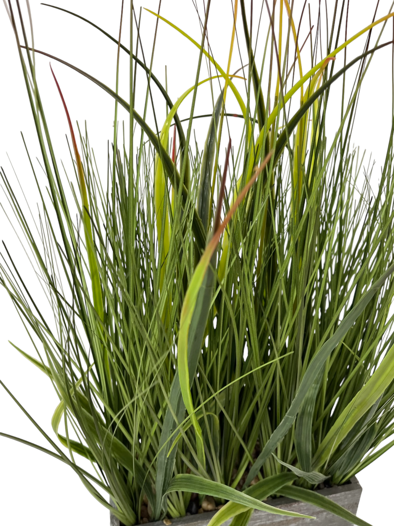 LILLY GRASS POT
