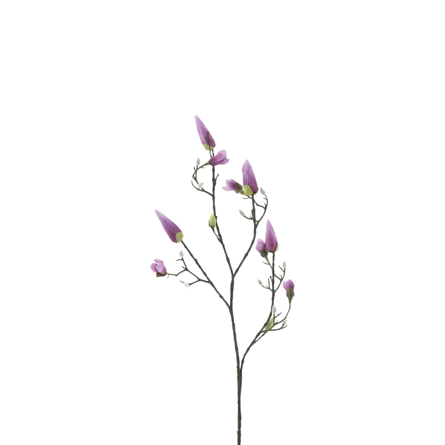 MAGNOLIA BUD SPRAY KOBE
