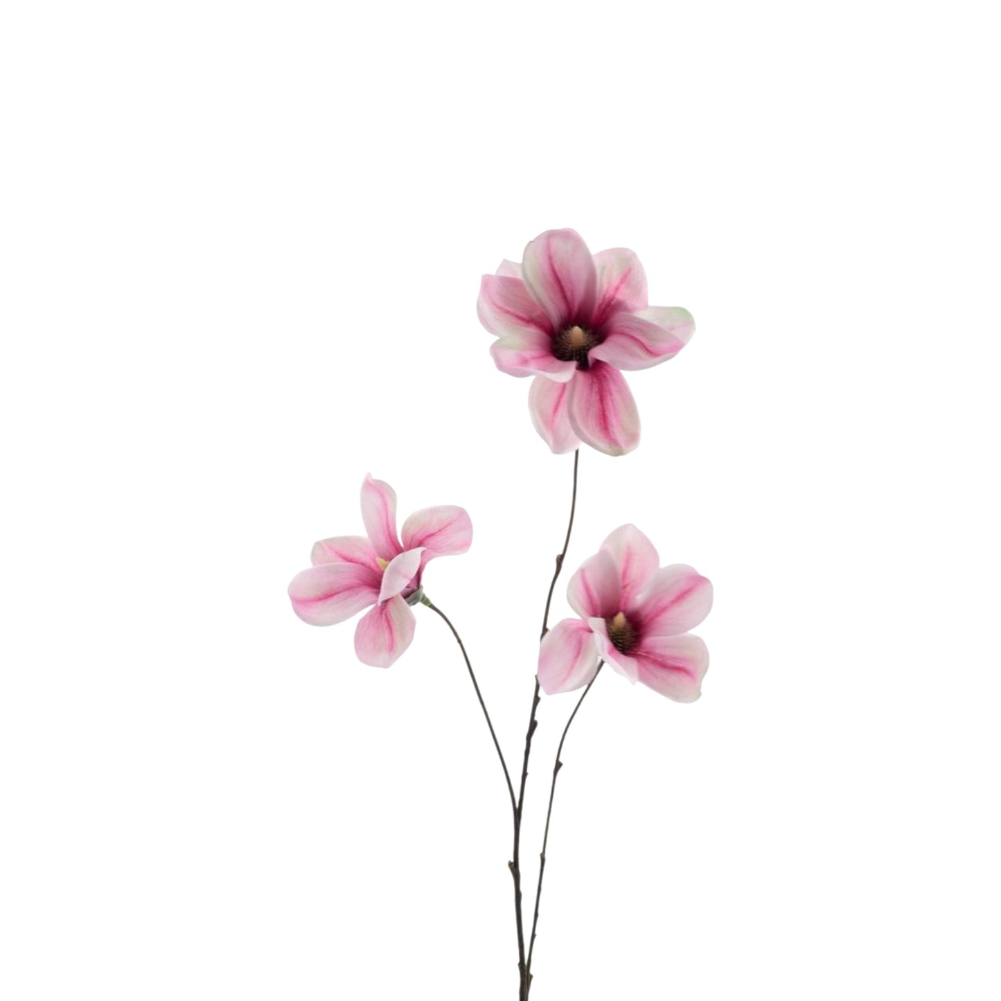 MAGNOLIA BRANCH 83 CM