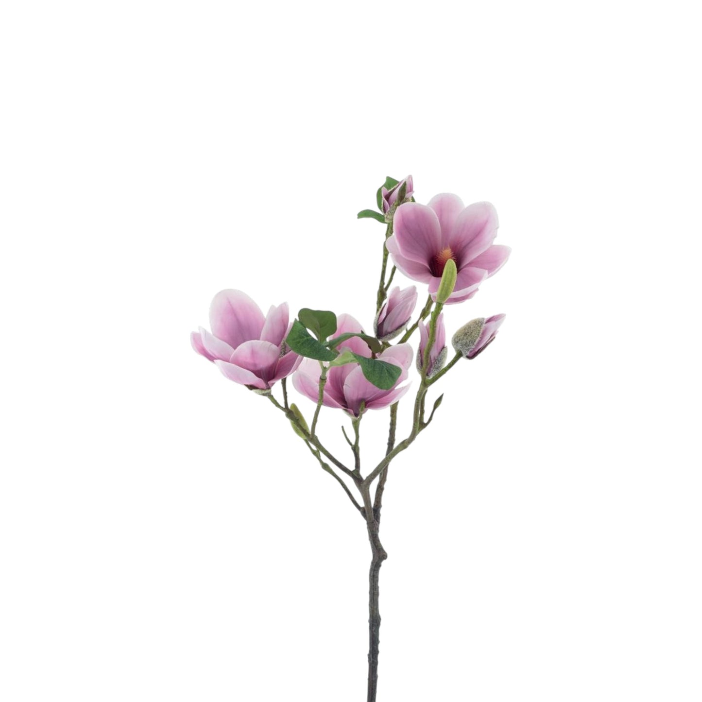MAGNOLIA SPRAY RENS 79 CM