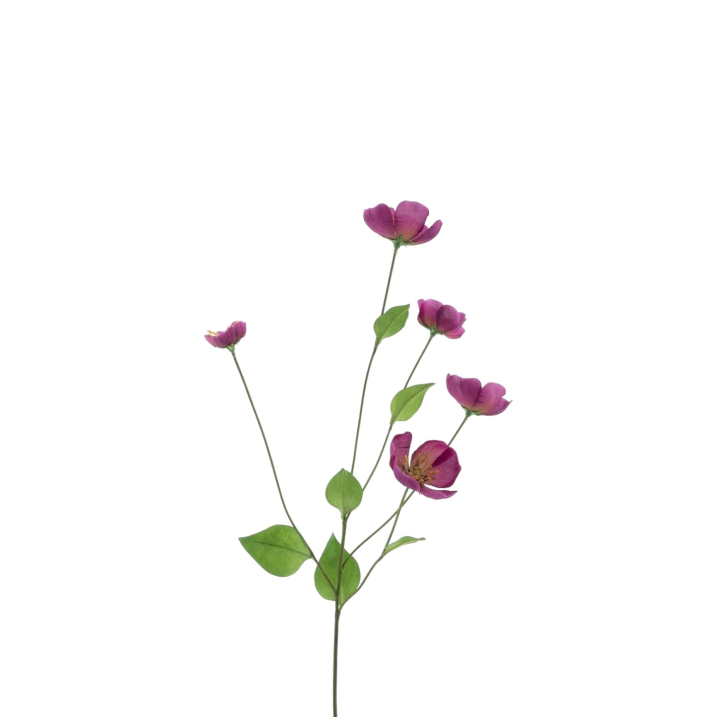 MELASTOMA SPRAY 76 CM