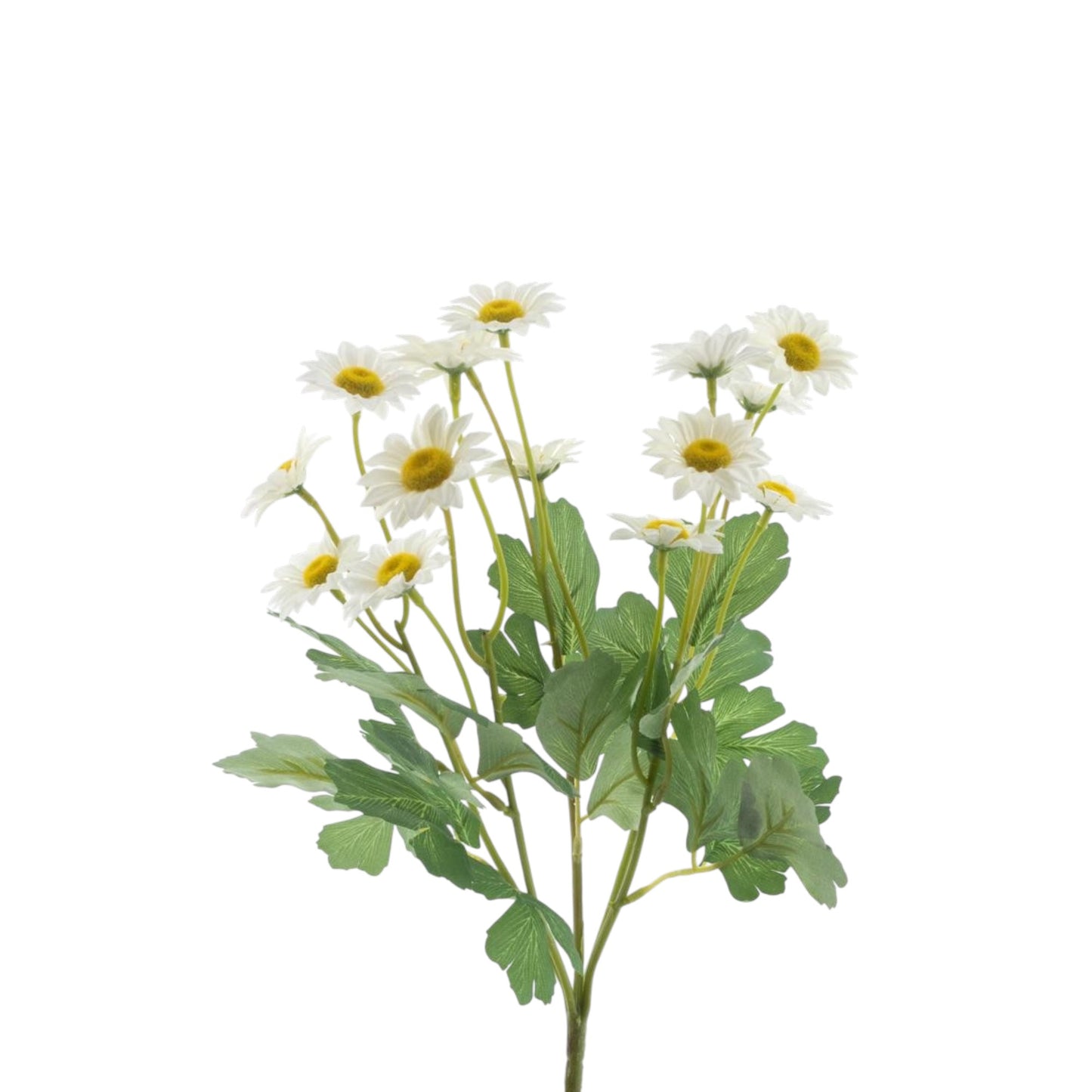 MINI DAISY BUSH CREAM 38 CM