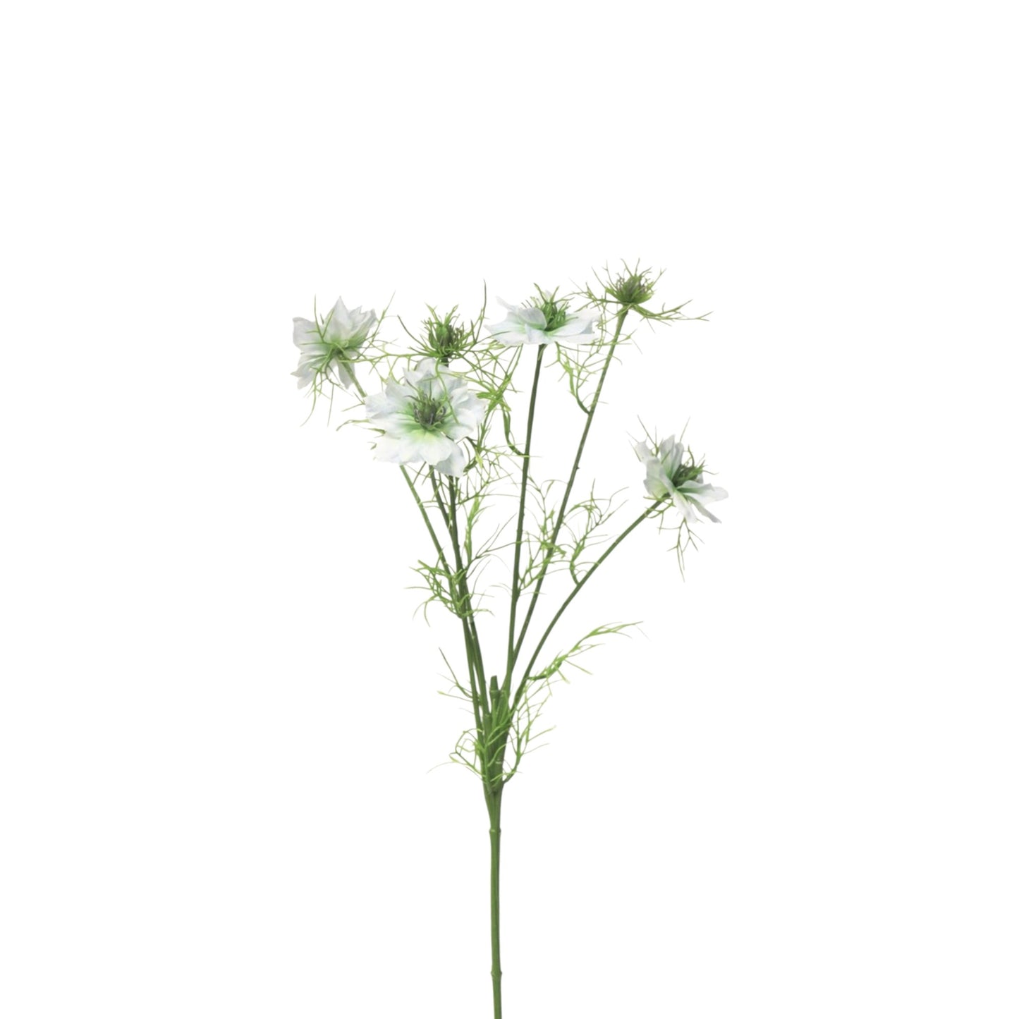 NIGELLA DAMASCENA CREAM SPRAY