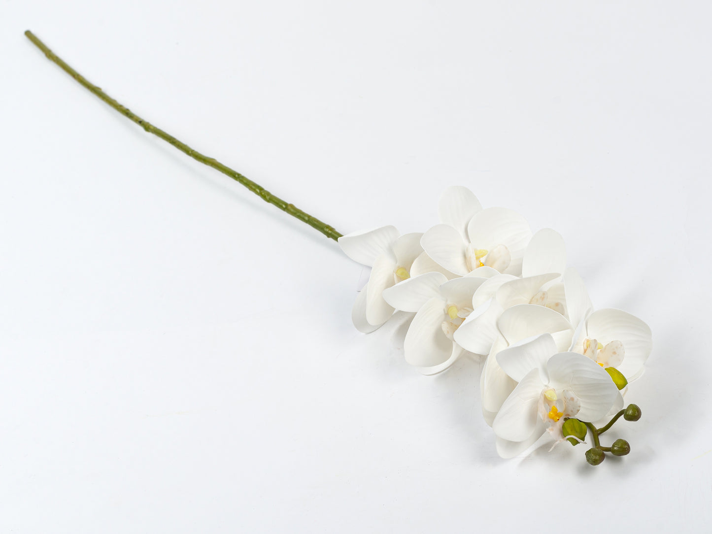 ORCHID BRANCH WHITE