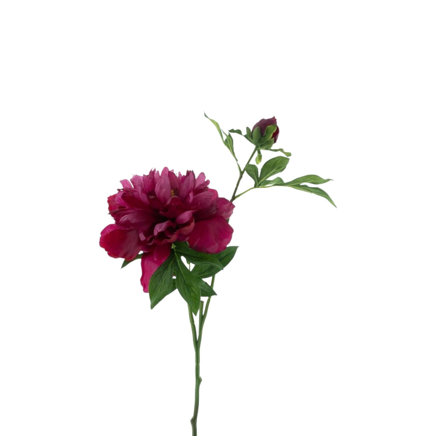 PEONY ARCHES 65 CM