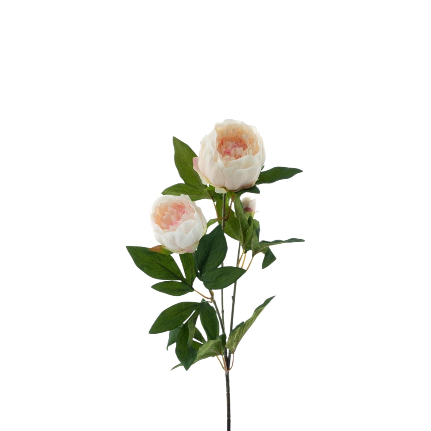 PEONY CHIBA SPRAY 65 CM