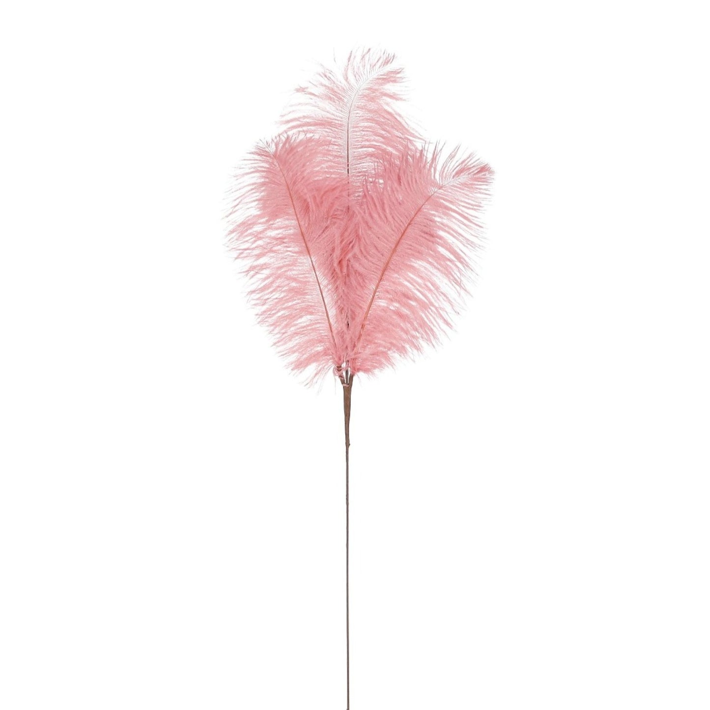 PICK FEATHER
