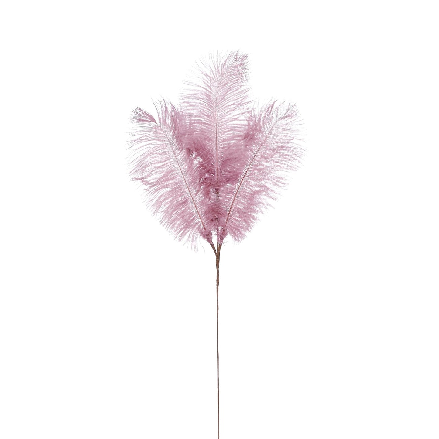 PICK FEATHER