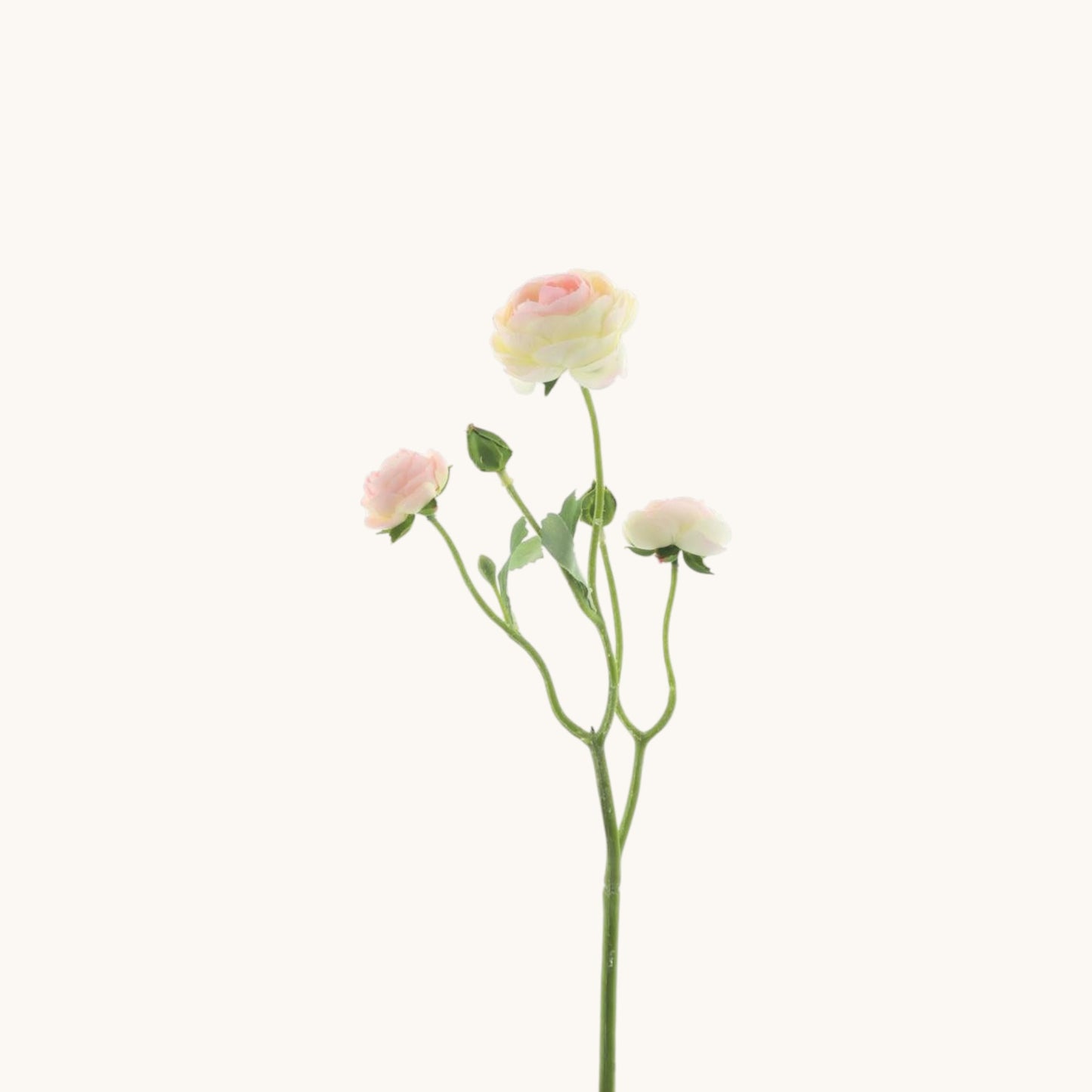 RANUNCULUS FLOWER 48 CM