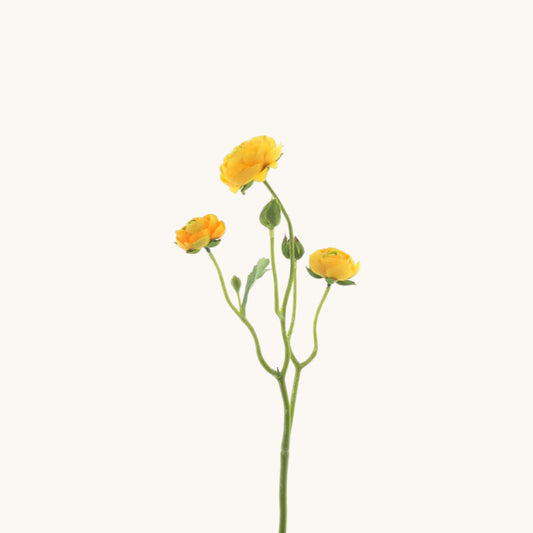 RANUNCULUS FLOWER 48 CM