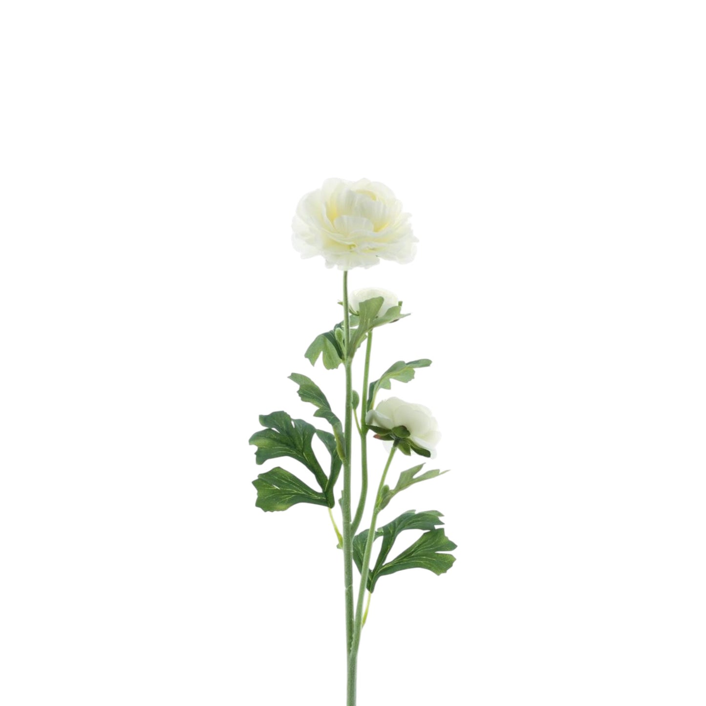 RANUNCULUS SPRAY NEW ORLEANS