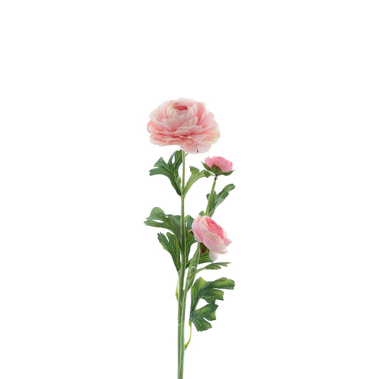 RANUNCULUS SPRAY NEW ORLEANS