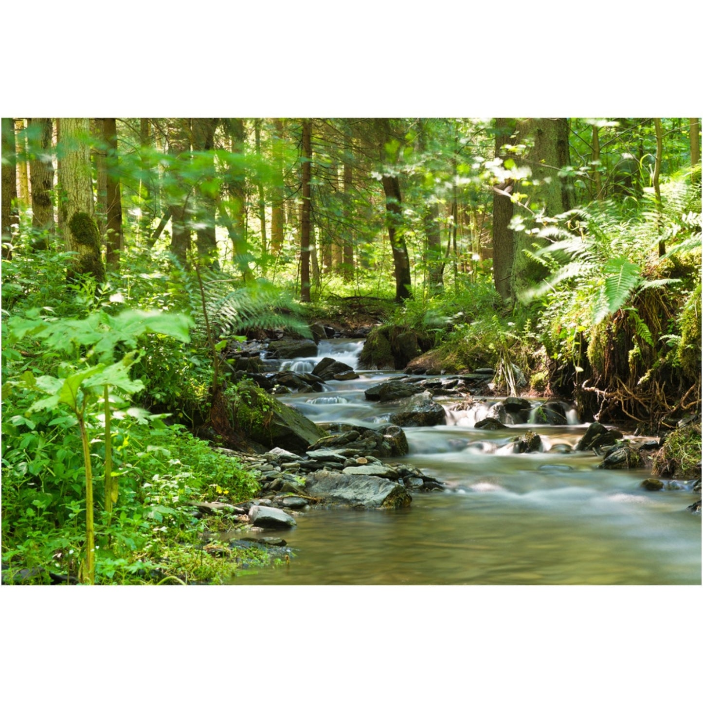 RIVER PRINT ON ACRYLIC GLASS