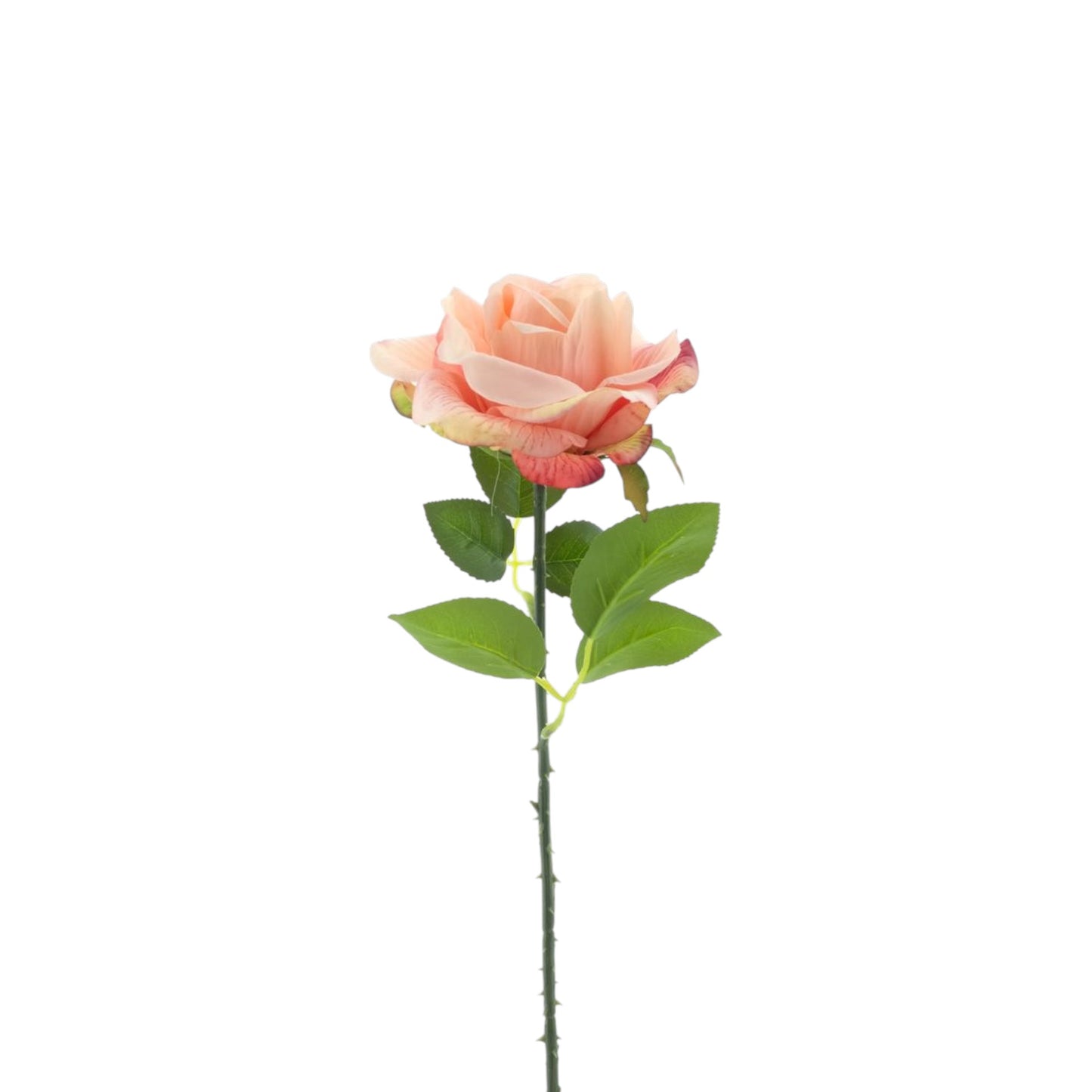 ROSE SPRAY BOSKO 50 CM