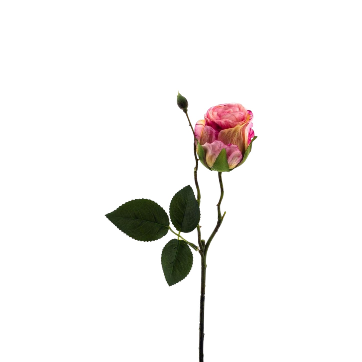 ROSE SPRAY SARA 45 CM