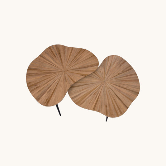 S2 TABLES ORGA CAMEL