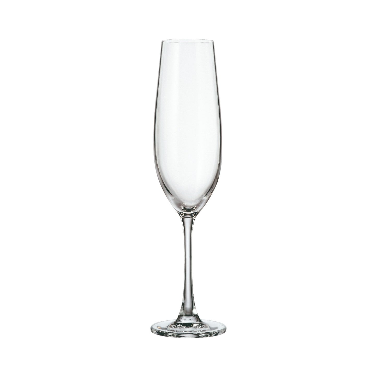 S6 CHAMPAGNE 260 ML SARAH TITANIUM