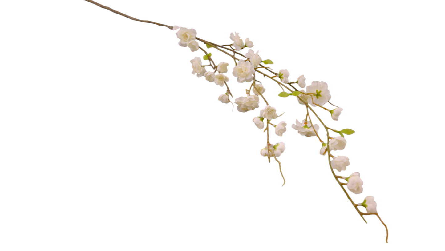 SUKARA BRANCH WHITE